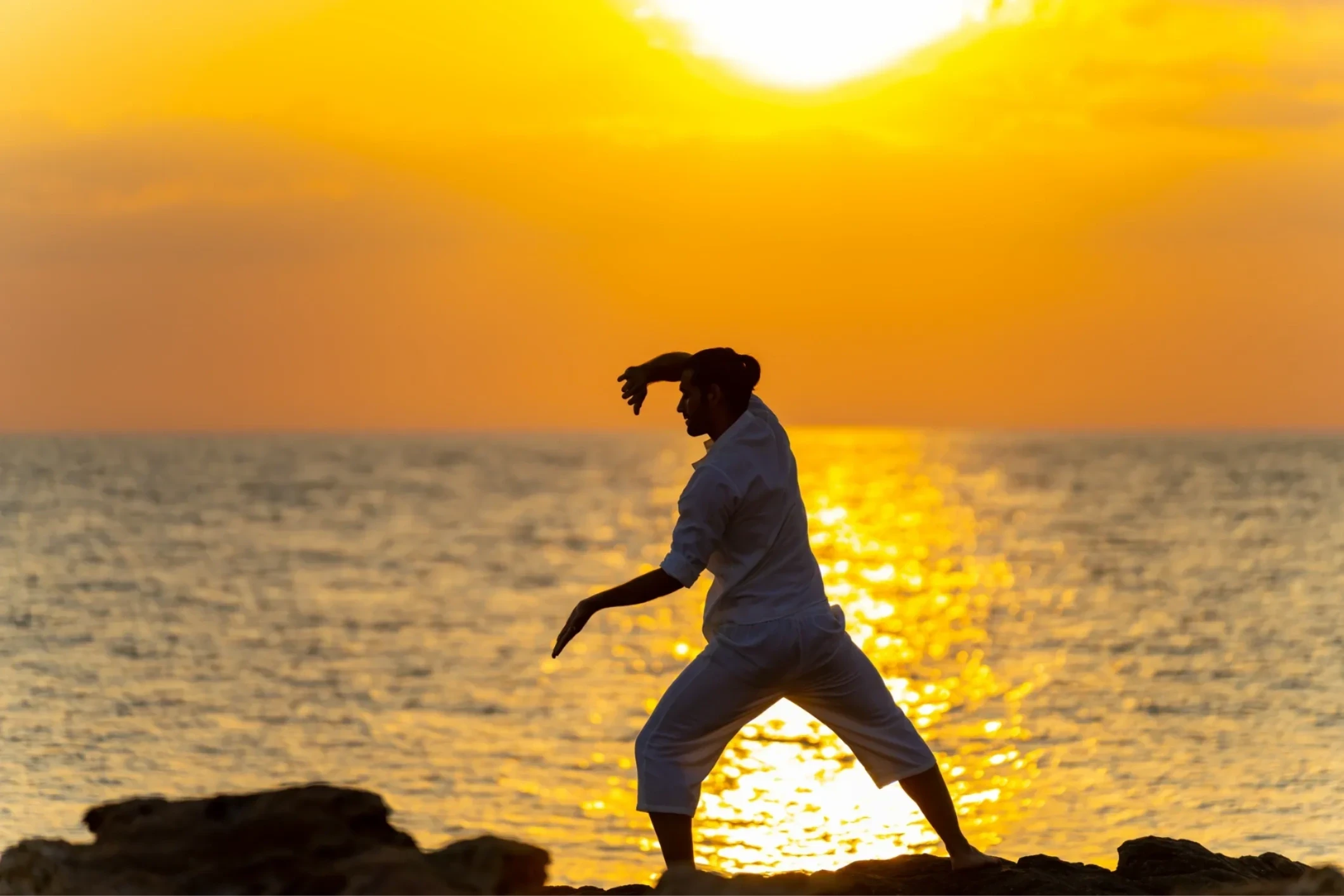 Adult martial arts program